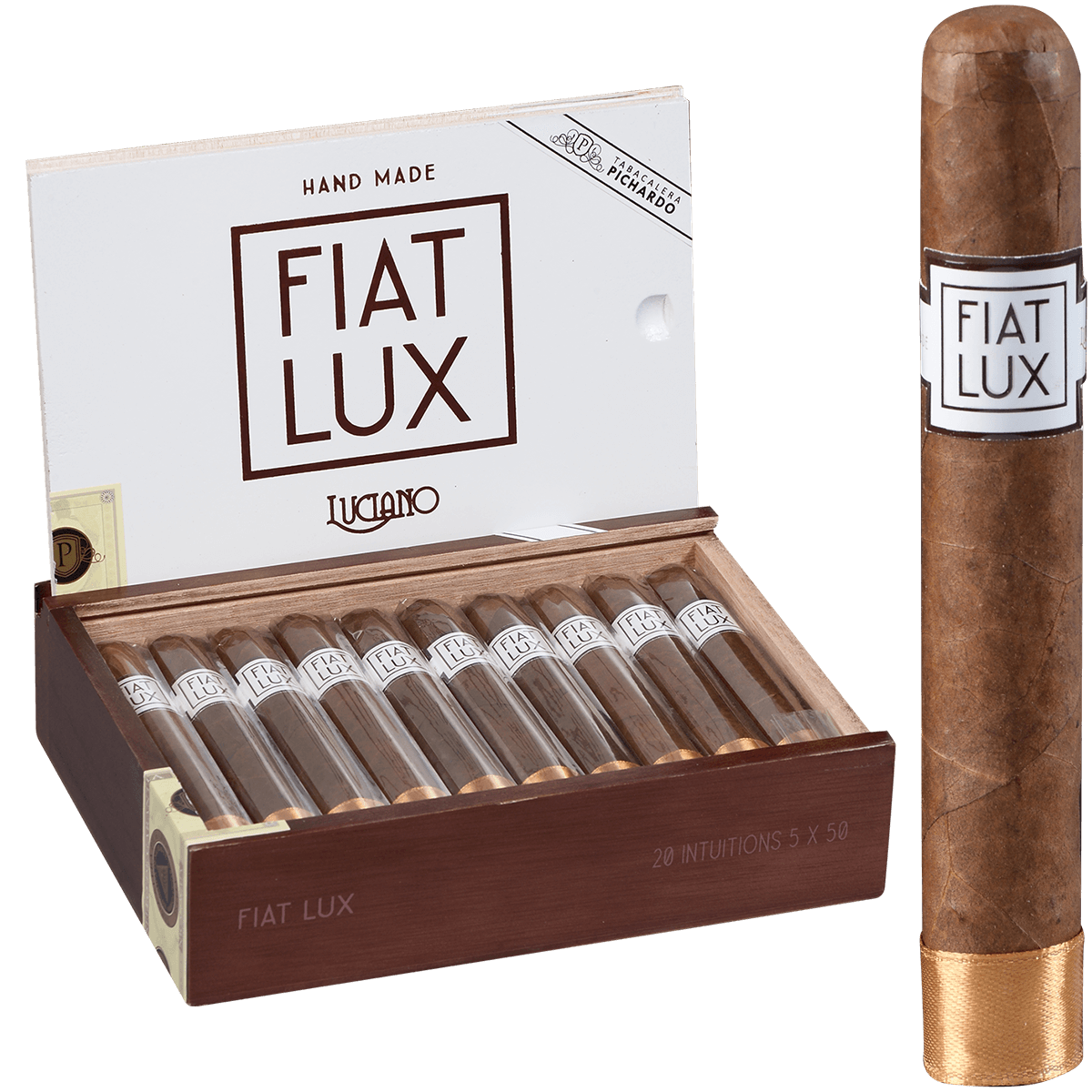 Fiat Lux Intuition