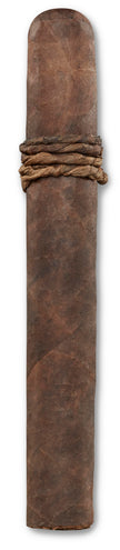 CAO Amazon Basin 2025