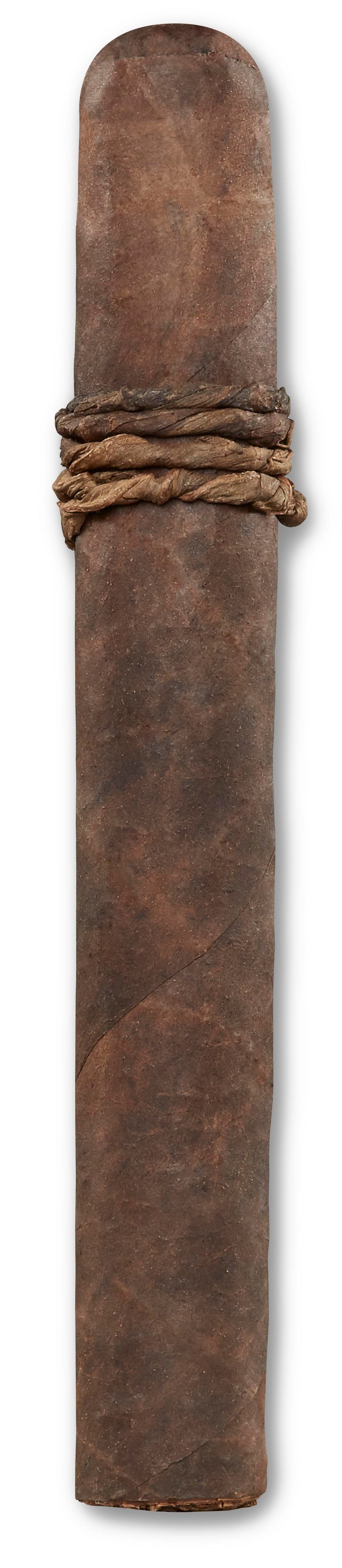 CAO Amazon Basin 2025