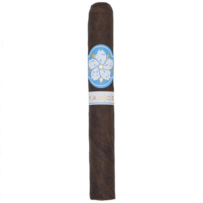 Room101 Farce Nicaragua Toro