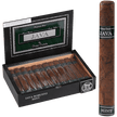 Java Mint Robusto