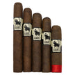 Juarez Bulls on Parade Fresh Pack