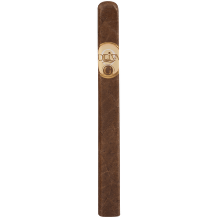 Oliva Serie G Churchill