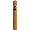 Quorum Shade Corona