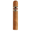 Quorum Shade Robusto