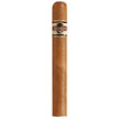 Quorum Shade Toro