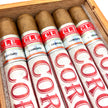 CLE Corojo 50 x 5