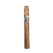 Black Works Studio S&R 2020 Corona Gorda