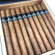 Black Works Studio S&R 2020 Lancero