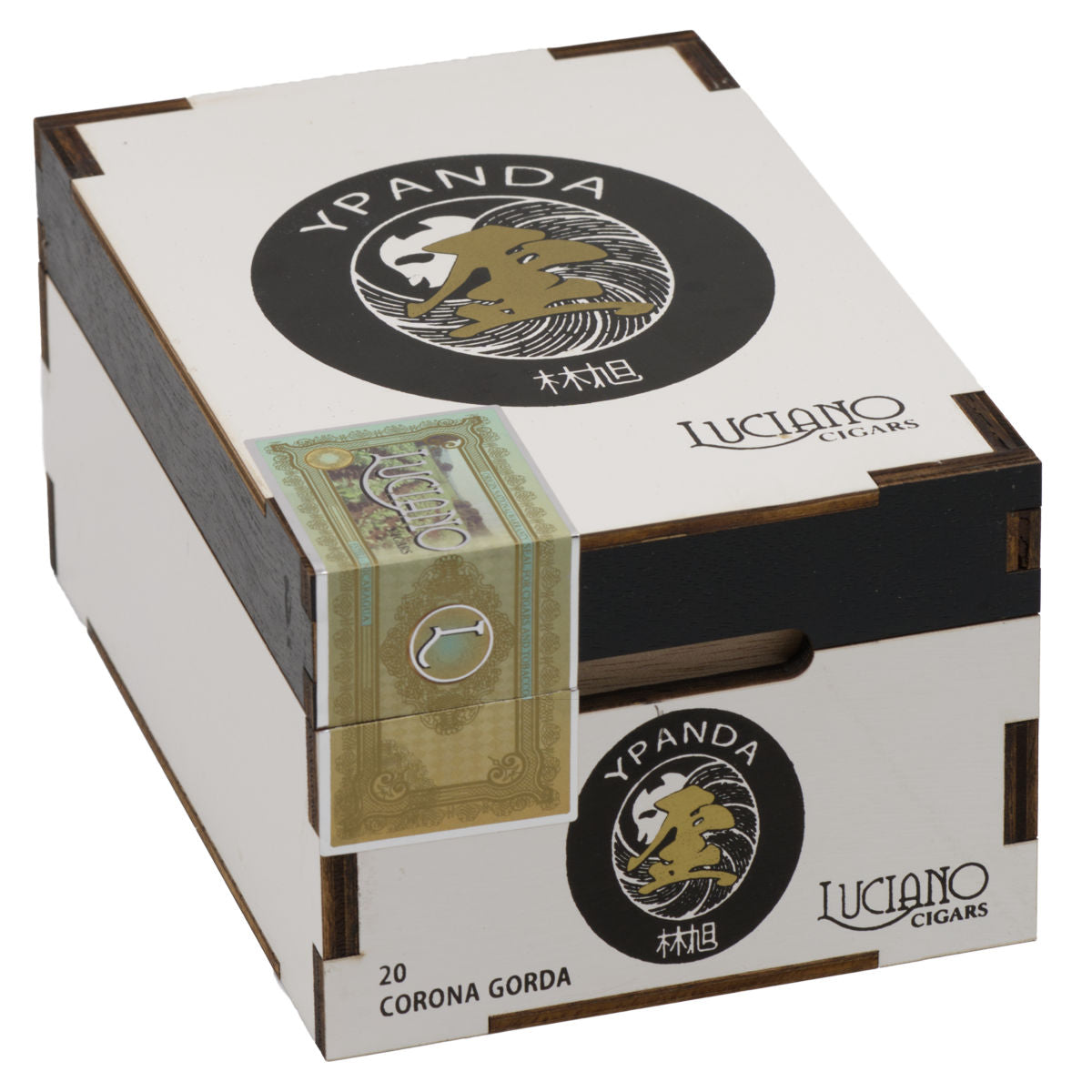 Y Panda Corona Gorda