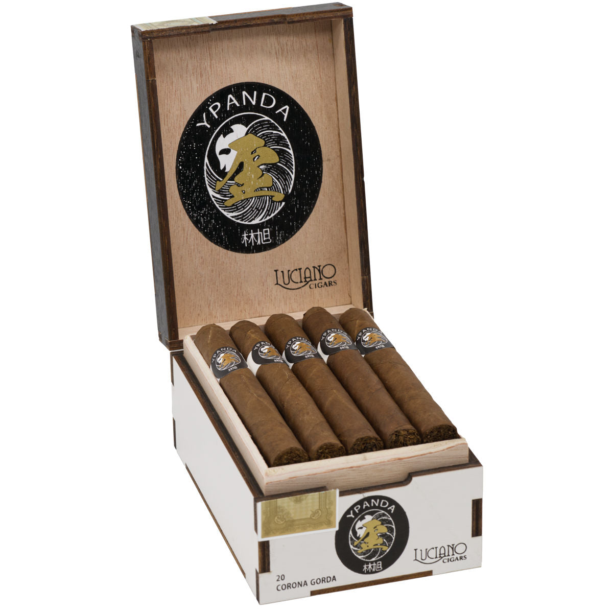 Y Panda Corona Gorda