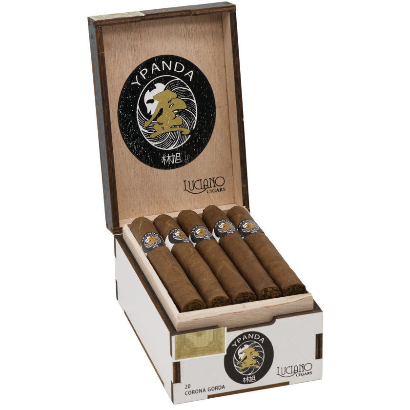 Y Panda Corona Gorda