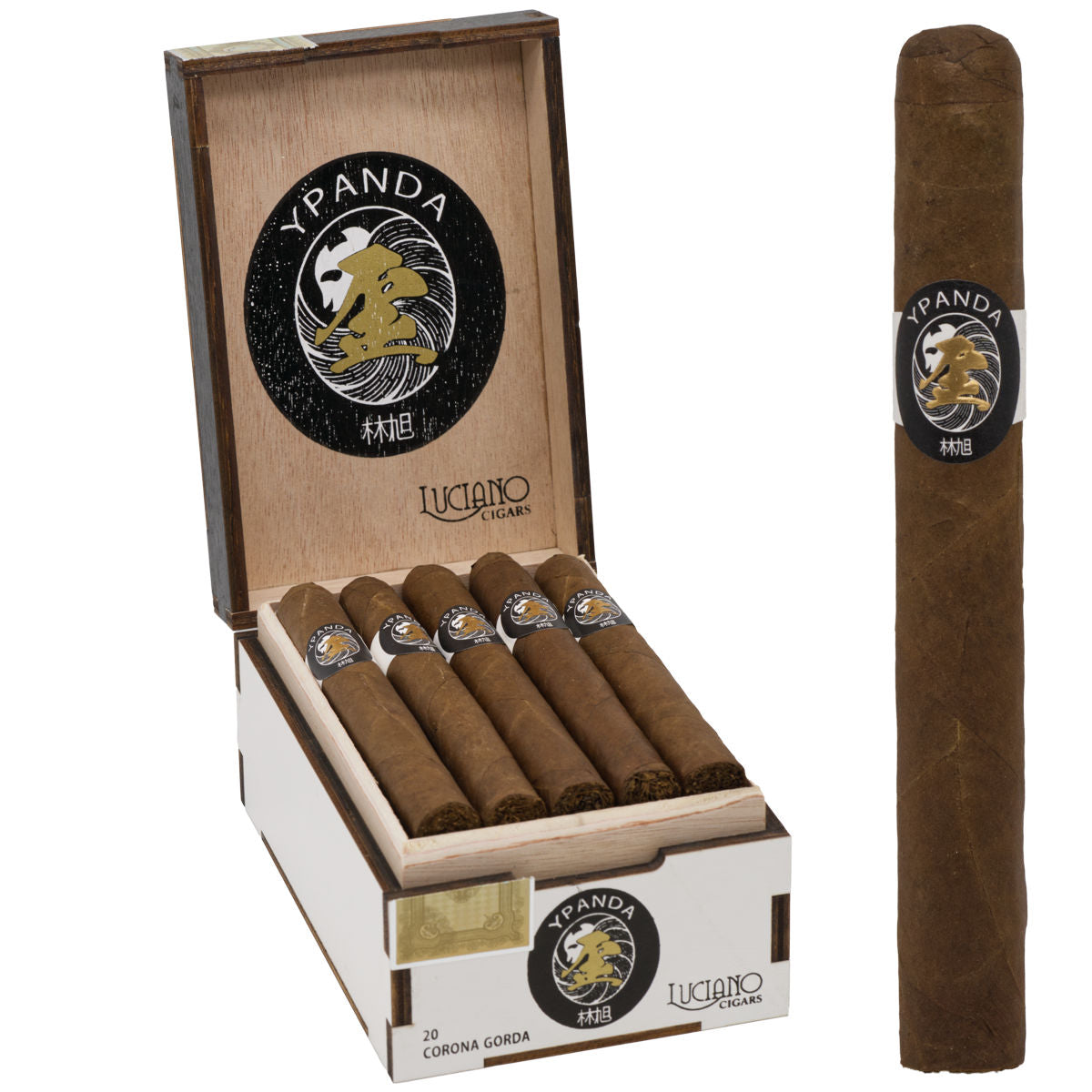 Y Panda Corona Gorda